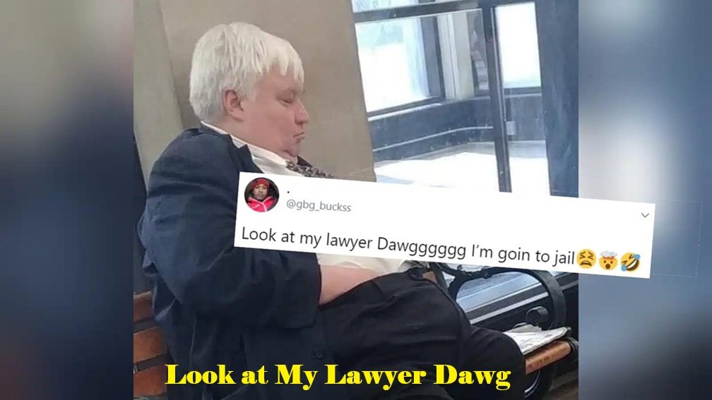 Look at My Lawyer Dawg
